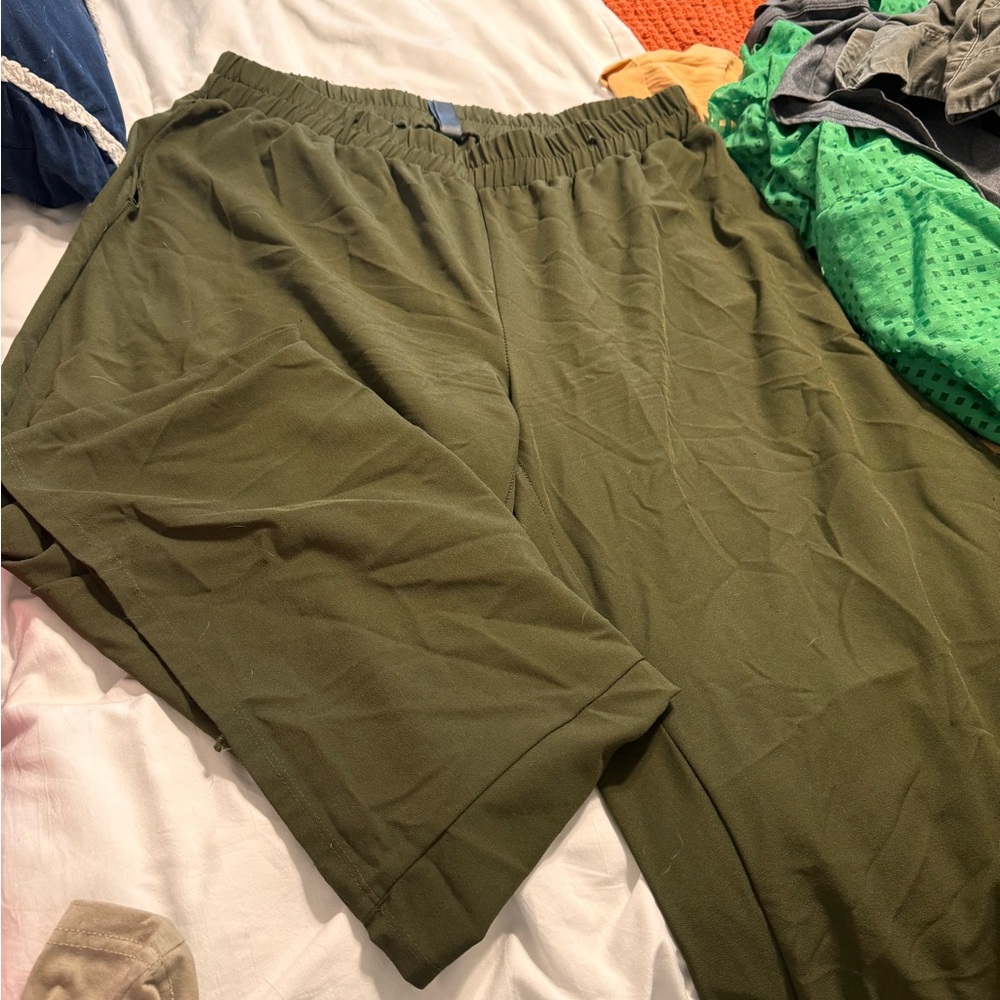 Dress pants